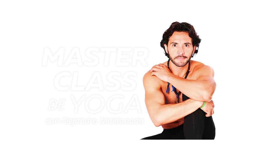 Imagen de modelos BYD